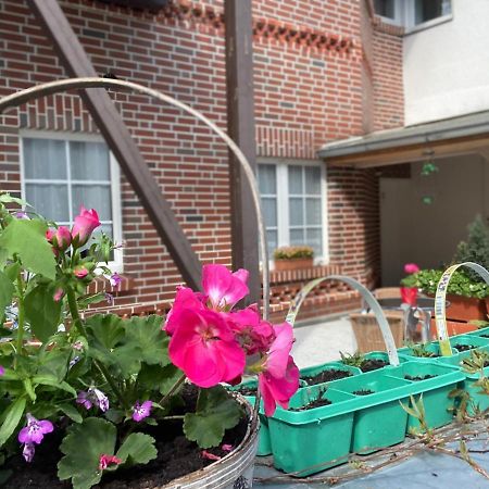 Pension Zum Blumchen Schwerin  Esterno foto