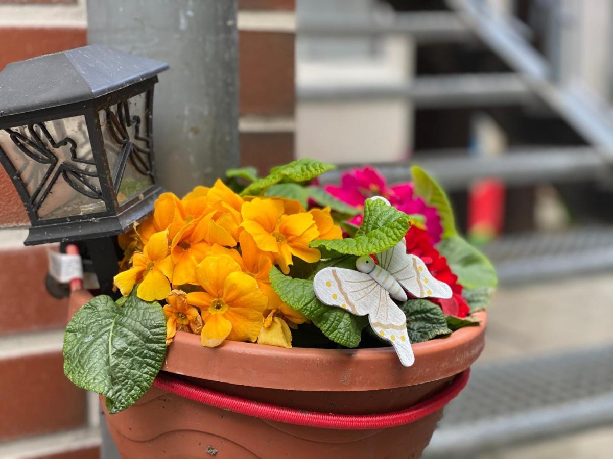 Pension Zum Blumchen Schwerin  Esterno foto